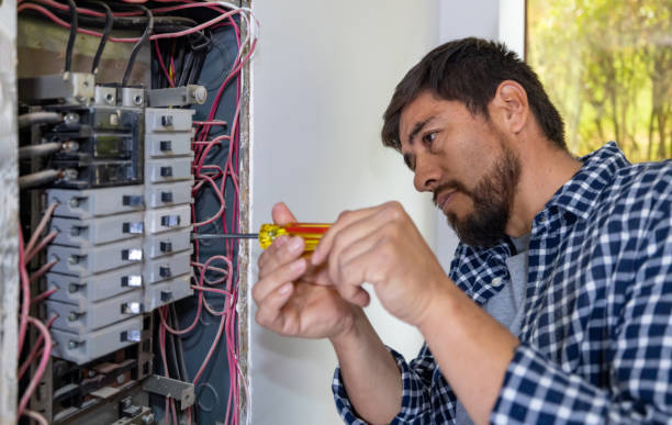 Best Ceiling Fan Installation Electrician  in Mount Angel, OR